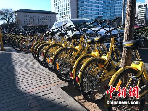 資料圖：成排的共享單車(chē)在路邊停放。<a target='_blank' href='http://www.chinanews.com/' >中新網(wǎng)</a> 吳濤 攝