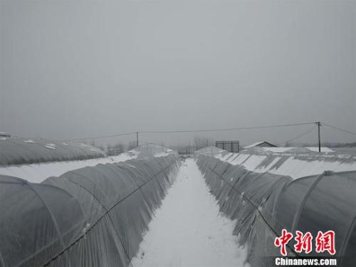 點擊進(jìn)入下一頁