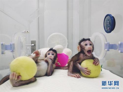 點(diǎn)擊進(jìn)入下一頁(yè)