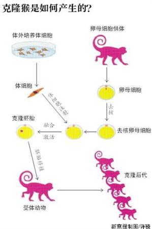 點(diǎn)擊進(jìn)入下一頁