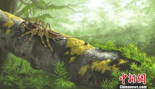 緬甸琥珀中怪物蜘蛛(Chimerarachne yingi)的生態(tài)復(fù)原。南古所 制圖