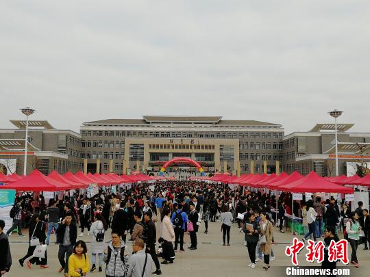 圖為招聘會(huì)?！⊥跗G龍 攝