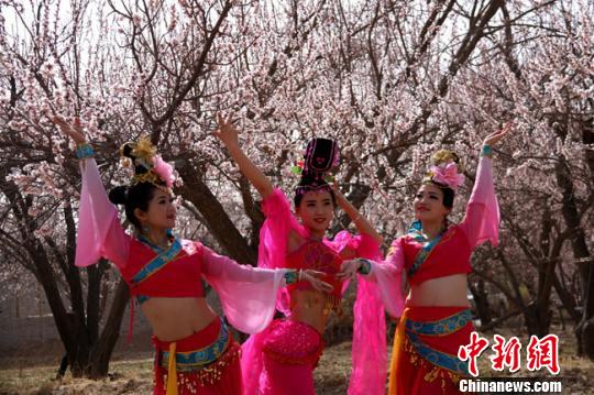 資料圖。2016年4月，參加敦煌李廣杏花節(jié)演出的演員在杏花園中拍照?！垥粤?攝
