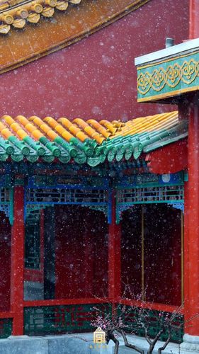 故宮掃不掃雪?博鰲論壇上故宮掌門人回答這些問(wèn)題