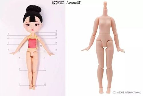 故宮掃不掃雪?博鰲論壇上故宮掌門人回答這些問(wèn)題