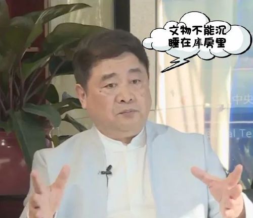 故宮掃不掃雪?博鰲論壇上故宮掌門人回答這些問(wèn)題
