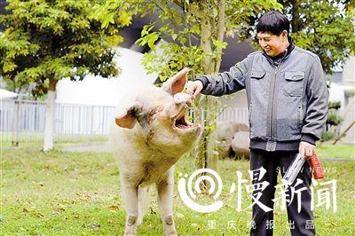 點擊進(jìn)入下一頁