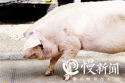 點擊進(jìn)入下一頁