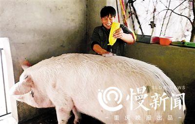 點擊進(jìn)入下一頁