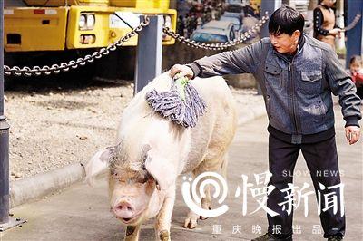 點擊進(jìn)入下一頁