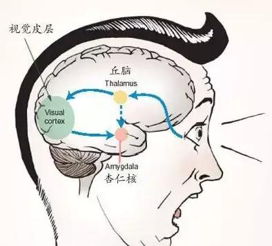 為何有人聽到指甲劃黑板的聲音就狂躁？