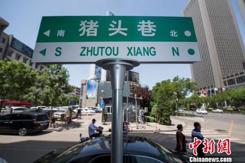 “豬頭巷”路牌格外醒目?！∥淇〗?攝