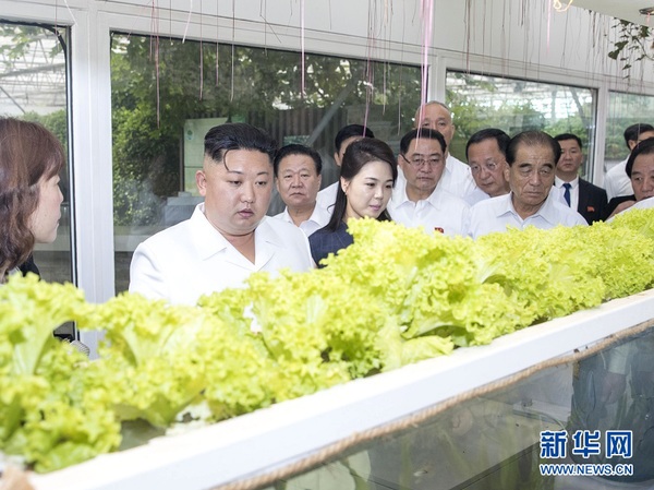 6月20日，中共中央總書記、國家主席習(xí)近平在北京釣魚臺國賓館會見朝鮮勞動黨委員長、國務(wù)委員會委員長金正恩。這是當(dāng)天，金正恩參觀中國農(nóng)業(yè)科學(xué)院國家農(nóng)業(yè)科技創(chuàng)新園。