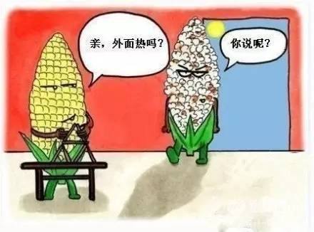 中暑為什么會(huì)死人？對(duì)中暑決不能掉以輕心！