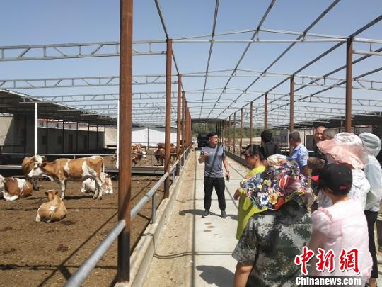 培訓班組織學員實地參觀開拓眼界。(資料圖) 王剛 攝