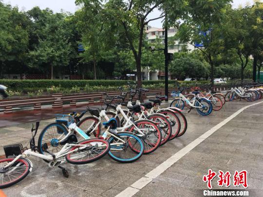 圖為：被臺(tái)風(fēng)吹倒的共享單車?！″X晨菲 攝