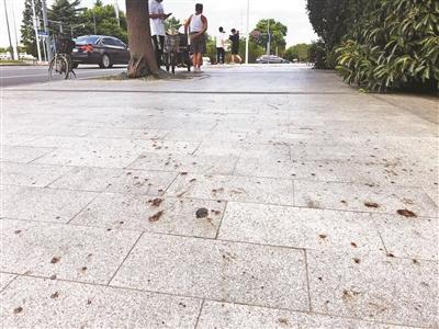 點(diǎn)擊進(jìn)入下一頁