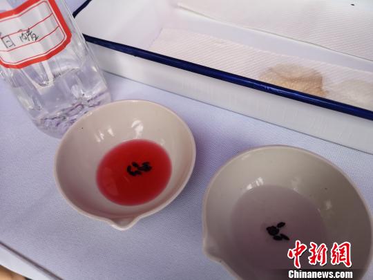圖為兩江新區(qū)2018年“全國質(zhì)量月”活動(dòng)現(xiàn)場，工作人員教民眾用白醋檢測黑米真假。左邊液體顏色變紅的是真黑米，右邊沒什么變化的是假黑米?！①t 攝