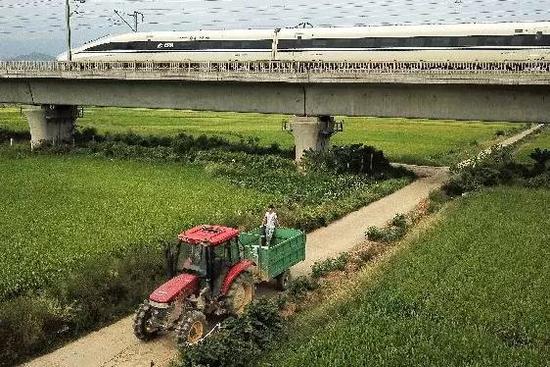 媒體：農(nóng)村土地市場(chǎng)再放開些 也亂不起來(lái)