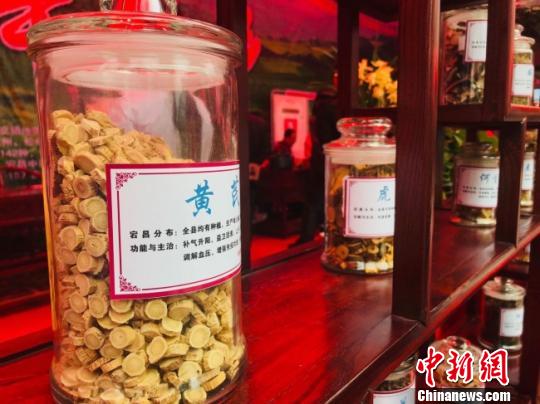 圖為活動(dòng)期間展出的甘肅隴南市中藥材?！￠Z姣 攝