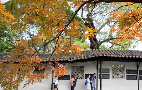 蘇州一日游成一日購 旅游局:從嚴(yán)從快處理