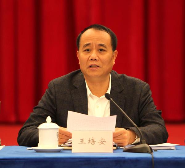全國政協(xié)委員、中國計生協(xié)黨組書記、常務(wù)副會長王培安在會上發(fā)言