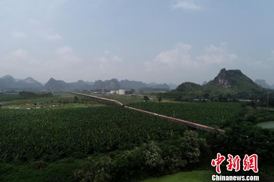 圖為南寧市武鳴區(qū)公雞山礦區(qū)建設(shè)的礦石輸送皮帶?！＄娦?攝