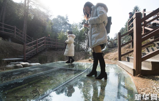 1月22日，游客在上虞區(qū)鳳凰山考古遺址公園參觀古窯址的青瓷殘片。