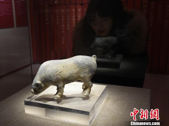圖為《金豬賀歲》展覽，觀眾觀看展品。　周毅 攝