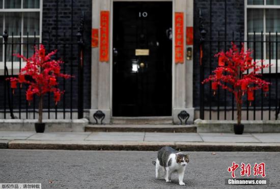 當(dāng)?shù)貢r間1月31日，英國倫敦唐寧街10號(英國首相官邸)貼春聯(lián)掛彩燈，慶祝即將到來的農(nóng)歷新年。