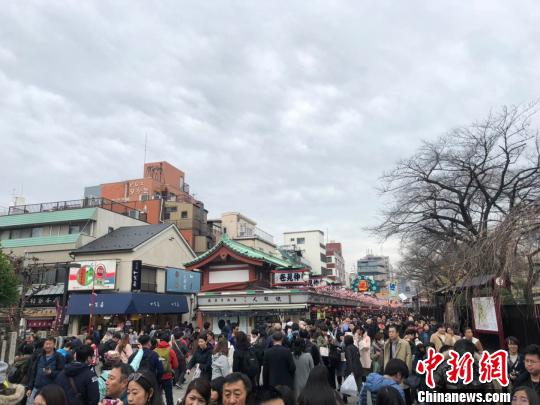 春季出境游升溫原產地“打卡”、“種太陽”之旅等受追捧