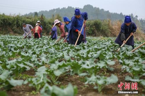 點(diǎn)擊進(jìn)入下一頁(yè)