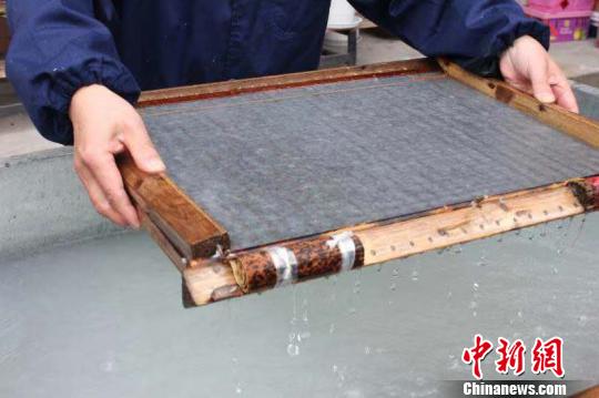 莊富泉正在制作竹紙。　彭曉霞 攝