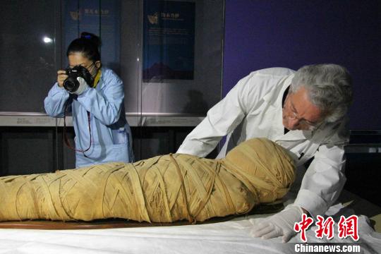 圖為“不朽之旅——古埃及人的生命觀”特展開箱布展現(xiàn)場，專家正在對文物進(jìn)行點(diǎn)交?！≮w曉 攝