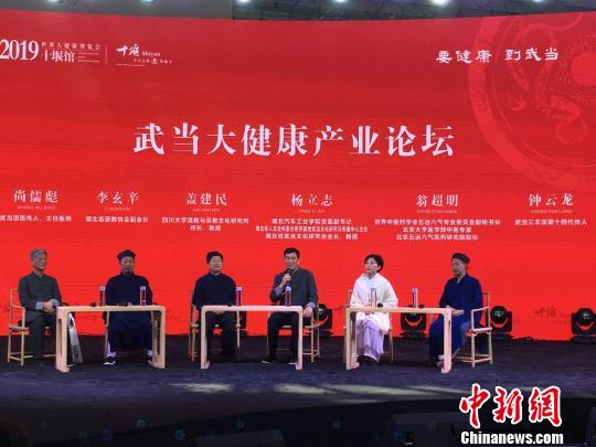 專家學(xué)者圍繞武當(dāng)山大健康產(chǎn)業(yè)發(fā)展展開(kāi)研討 馬芙蓉 攝