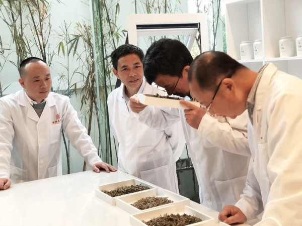 浙江大學(xué)茶學(xué)研究所和福建省農(nóng)委的有關(guān)專家現(xiàn)場品鑒國號福鼎白茶的新茶質(zhì)量。李偉 攝影