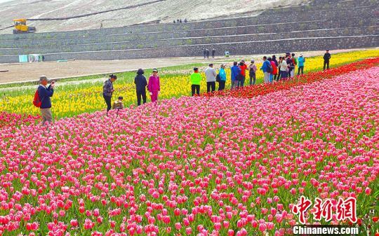 “短途周邊游”受追捧內(nèi)地民眾樂享“慢生活”