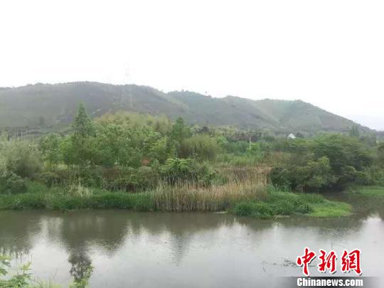 徐階墓所在地 長(zhǎng)興宣傳部提供 攝