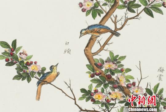 展品《中國植物——海棠》。黑龍江省美術(shù)館提供