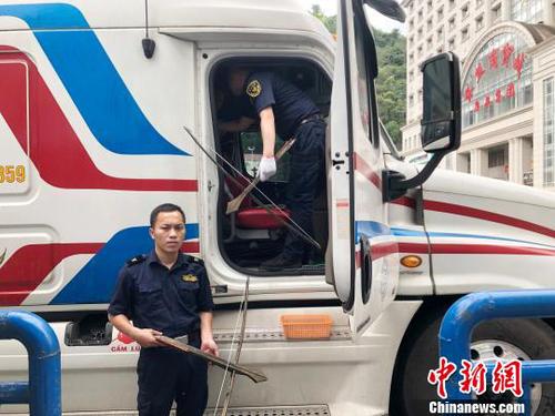 圖為憑祥海關(guān)關(guān)員在浦寨越卡通道對(duì)入境的越南車輛進(jìn)行登臨檢查時(shí)，查獲兩副管制器具手弩。海關(guān)供圖