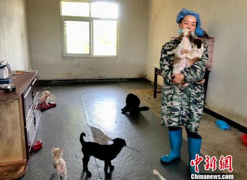 圖為志愿者張曉京正在陪伴小狗?！∠默?攝