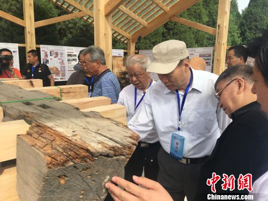 圖為文物及古建筑專家在昭西陵實地考察。　白云水 攝
