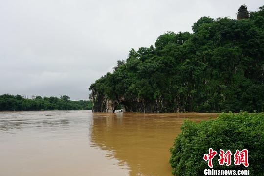 圖為桂林城徽象鼻山被淹?！√茐魬?攝