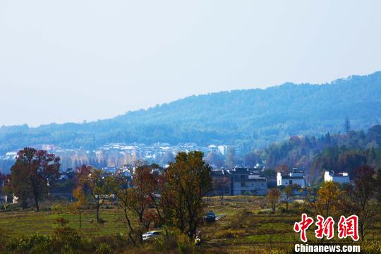 資料圖：安徽省傳統(tǒng)村落——黃山市塔川村?！垙?攝