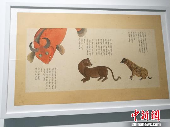 “故宮里的海洋世界--《海錯圖》多媒體綜合展”，11日下午在深圳海上世界藝術文化中心開幕。　鄭小紅 攝