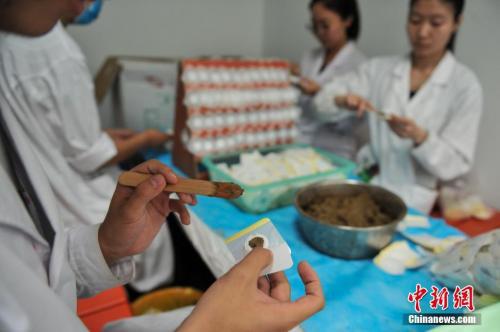 資料圖：云南省中醫(yī)院的醫(yī)生制作“三伏貼”。中新社記者 任東 攝