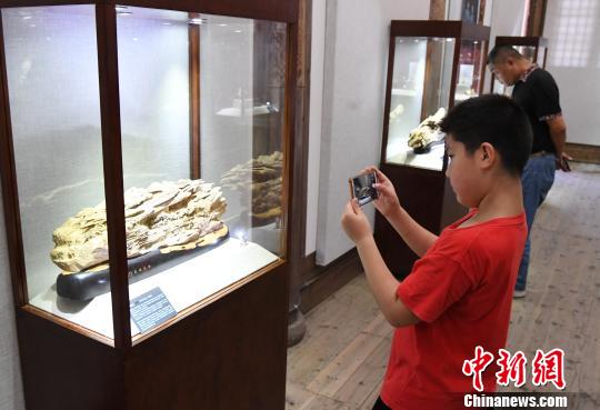 “青藍(lán)門徑·福建青年藝術(shù)家雕刻作品展”正在福州福建省海峽民間藝術(shù)館展出?！∮浾邉⒖筛?攝