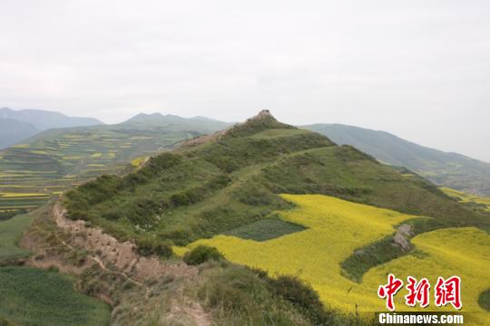 圖為青海省境內(nèi)明長城。青海省文物局供圖