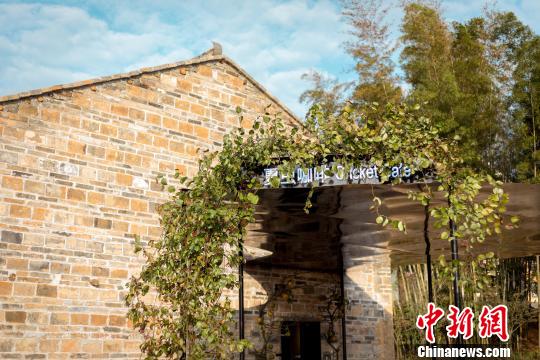 中國(guó)建筑師王彥，將夏木塘村內(nèi)一座90年歷史的舊宅改建為咖啡廳，取名“夏蟲(chóng)咖啡”。主辦方供資料圖