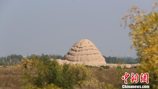 西夏陵遺址?！∮诰?攝